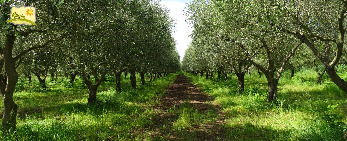 Azienda Agricola