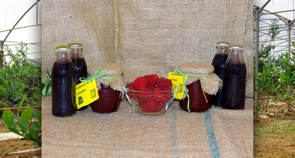 frutti di bosco